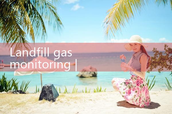 landfill gas monitoring|digital flow meter
