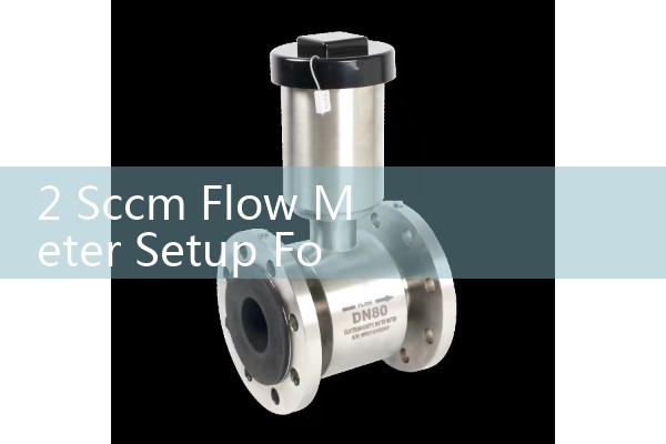 2 Sccm Flow Meter Setup For Ultra-Low Gas Leak Testing