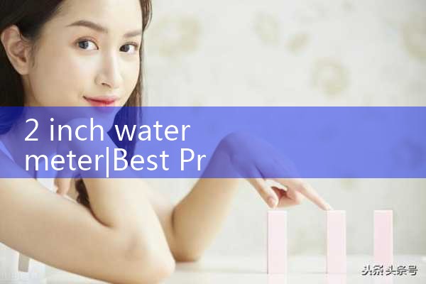 2 inch water meter|turbine flow meter