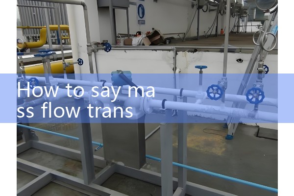 mass flow transmitter