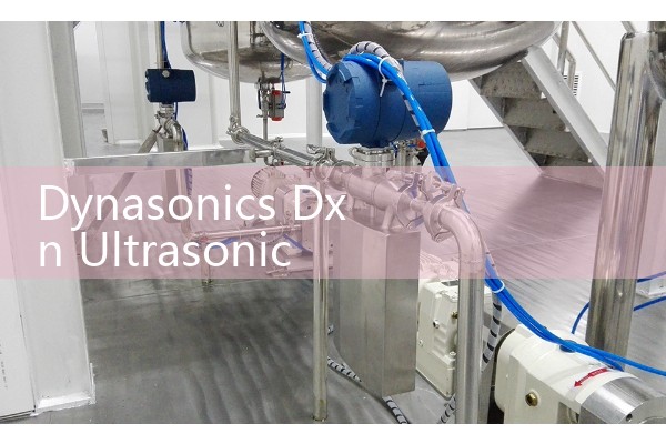 Dynasonics Dxn Ultrasonic Flow Meter Manual: Installation and Setup Tips