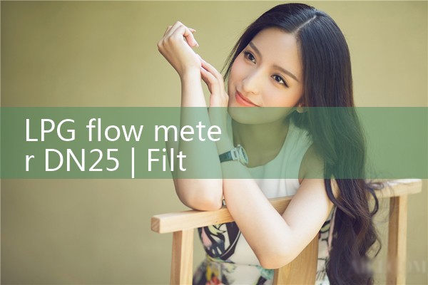 LPG flow meter DN25|digital flow meter