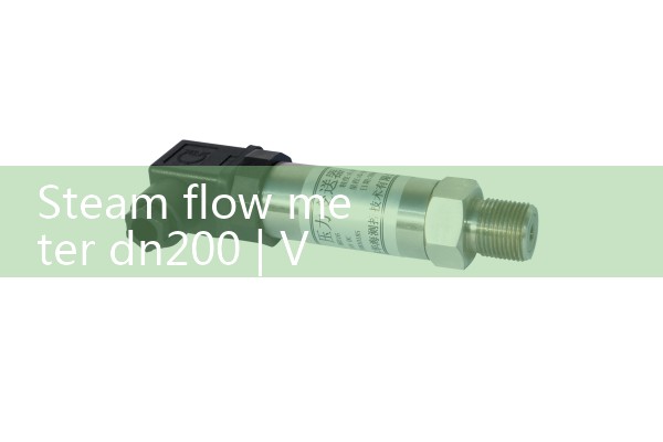 Steam flow meter dn200