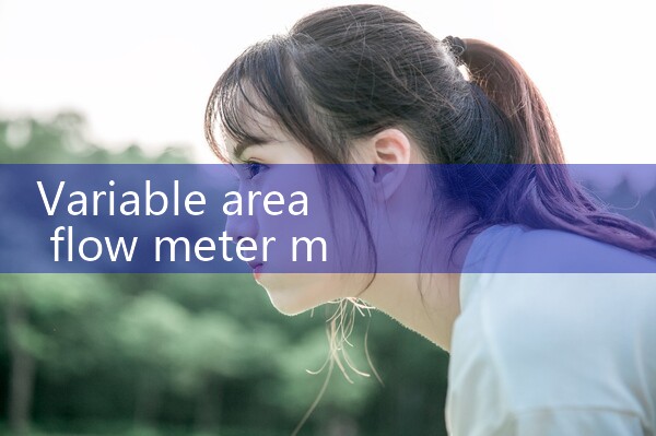 variable area flow meter manufacturer|turbine flow meter