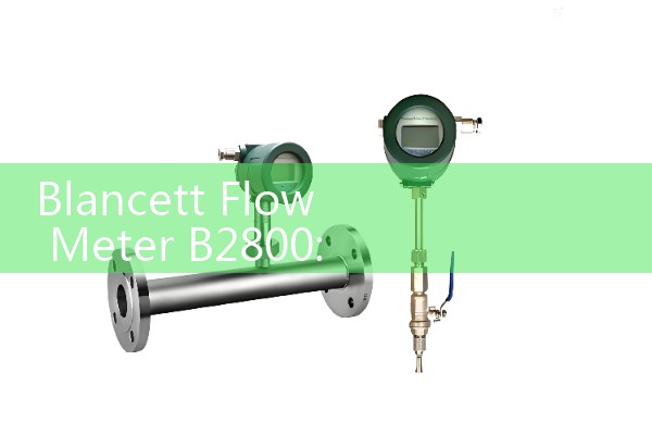 Blancett Flow Meter B2800: Sourcing Technical Display Sizing Manuals