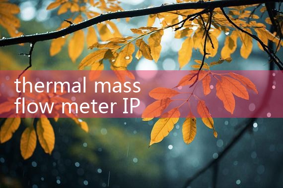 thermal mass flow meter IP67|turbine flow meter