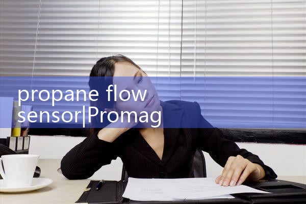 propane flow sensor|digital flow meter