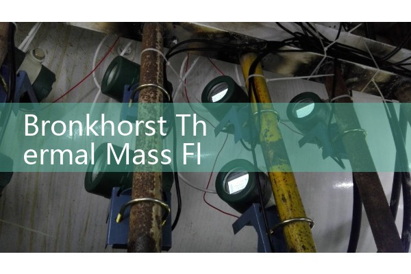 Bronkhorst Thermal Mass Flow Meter: Sourcing Cleanroom Vapor Delivery Manuals