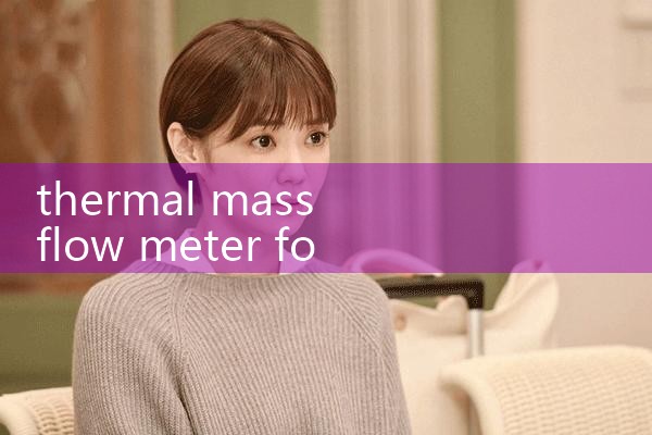 thermal mass flow meter for CO2|turbine flow meter