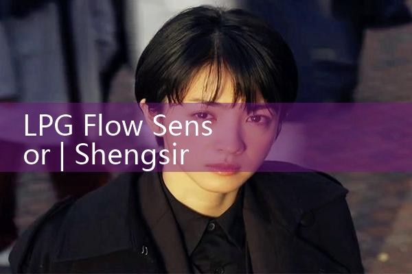 LPG flow sensor|digital flow meter