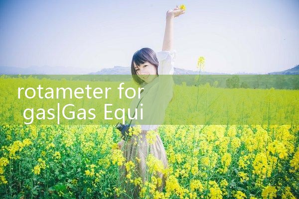 rotameter for gas|turbine flow meter