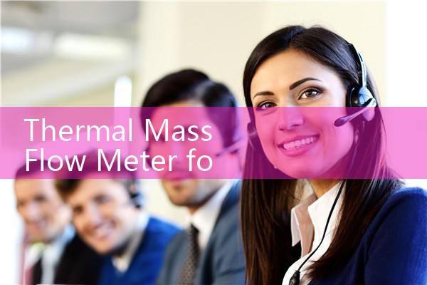 thermal mass flow meter for chemical industry|turbine flow meter