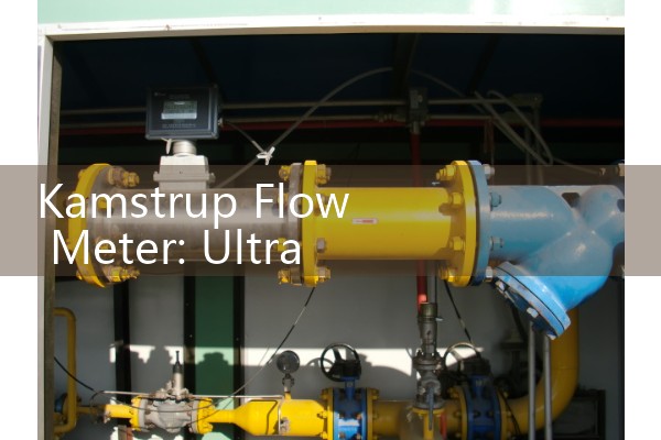 Vortex flowmeter measurement