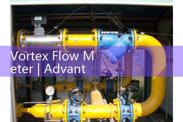 Mass flowmeter for vortex street