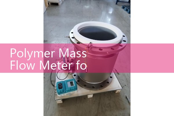 Polymer Mass Flow Meter for High-Viscosity Lines