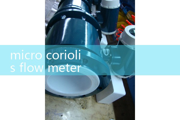 micro coriolis flow meter g/h