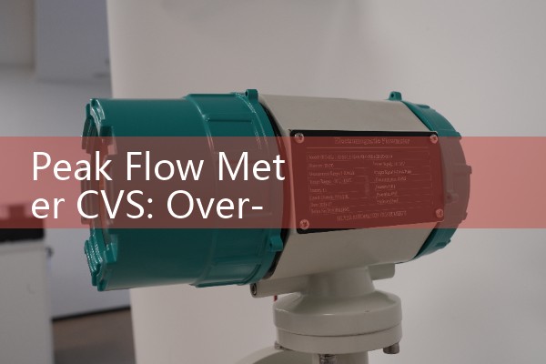 Peak Flow Meter CVS: Over-the-Counter Home Asthma Tracking Tools