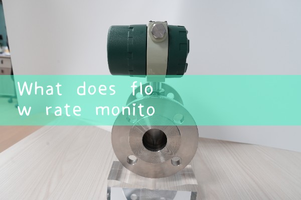 flow rate monitor|gas flow meter
