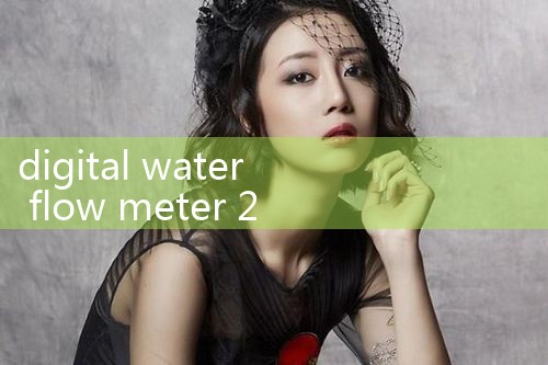 digital water flow meter 2 inch|turbine flow meter