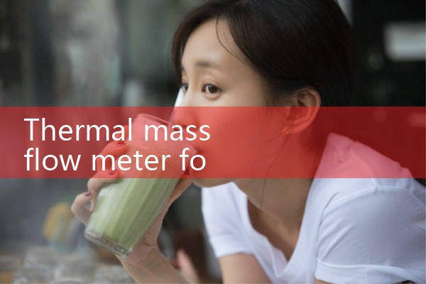 thermal mass flow meter for hydrogen|turbine flow meter