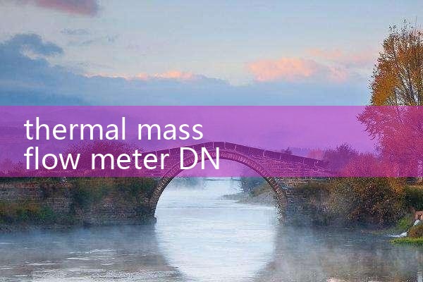 thermal mass flow meter DN50|turbine flow meter