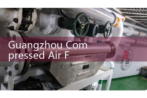 Guangzhou Compressed Air Flow Meter
