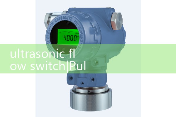 ultrasonic flow switch|air flow meter