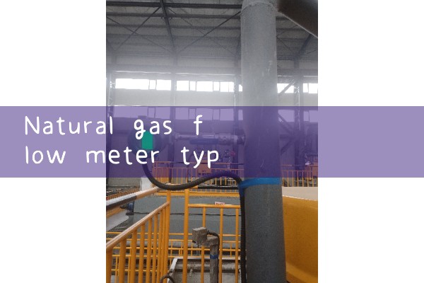 natural gas flow meter types|gas flow meter