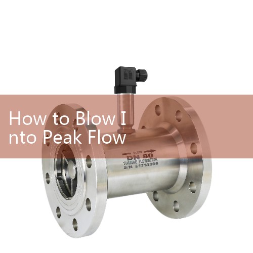 How to Blow Into Peak Flow Meter: Avoid blocking the indicator slide or the exhaust vents with your fingers or tongue while exhaling.